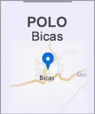 Polo de Bicas